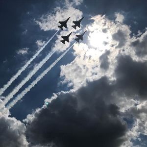 Meet your Posher, Jessie